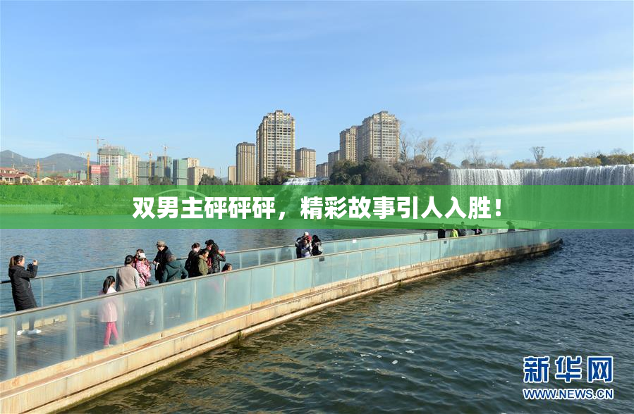 双男主砰砰砰，精彩故事引人入胜！