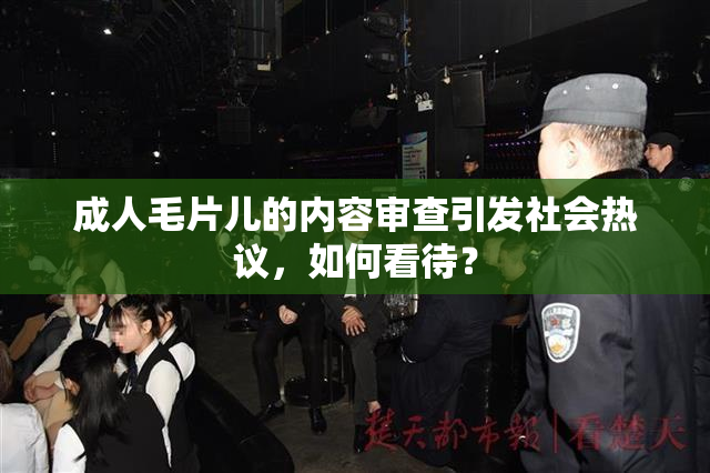 成人毛片儿的内容审查引发社会热议，如何看待？
