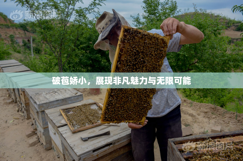 破苞娇小，展现非凡魅力与无限可能