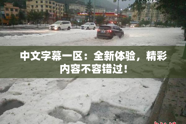 中文字幕一区：全新体验，精彩内容不容错过！