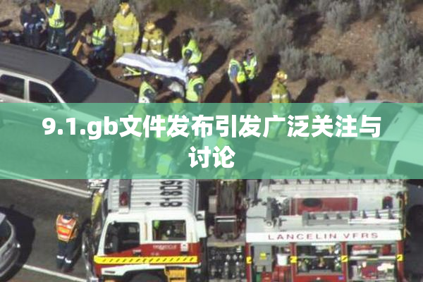 9.1.gb文件发布引发广泛关注与讨论