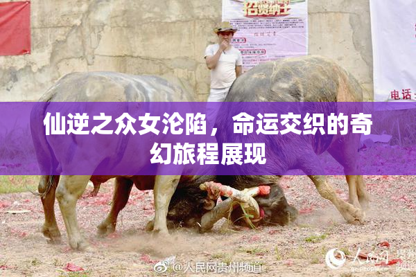 仙逆之众女沦陷，命运交织的奇幻旅程展现