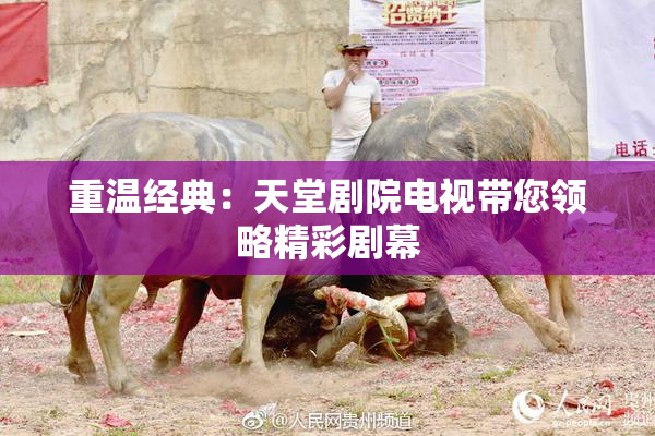 重温经典：天堂剧院电视带您领略精彩剧幕