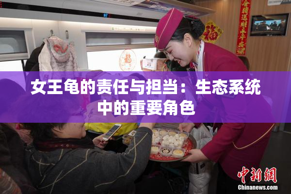 女王龟的责任与担当：生态系统中的重要角色