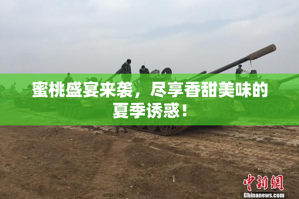蜜桃盛宴来袭，尽享香甜美味的夏季诱惑！