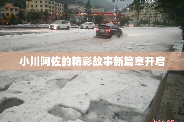小川阿佐的精彩故事新篇章开启