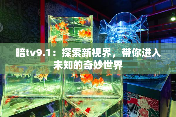 暗tv9.1：探索新视界，带你进入未知的奇妙世界