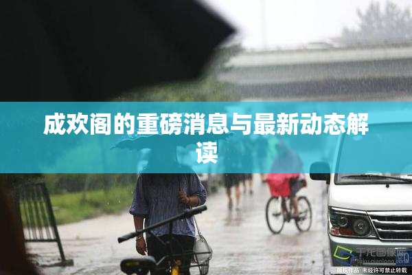 成欢阁的重磅消息与最新动态解读