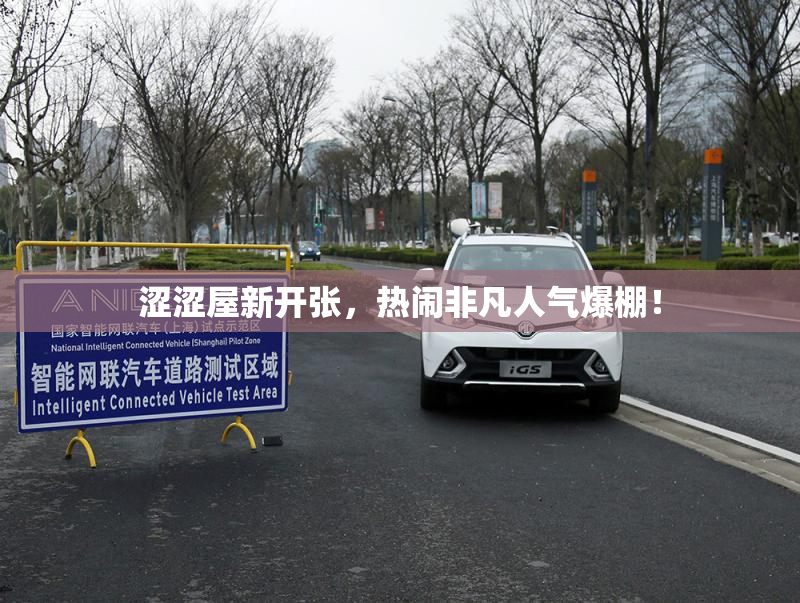 涩涩屋新开张，热闹非凡人气爆棚！