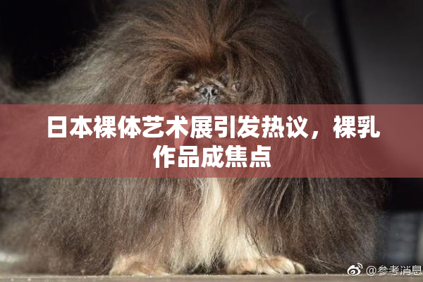 日本裸体艺术展引发热议，裸乳作品成焦点