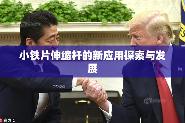 小铁片伸缩杆的新应用探索与发展