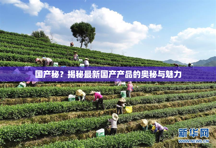 国产秘？揭秘最新国产产品的奥秘与魅力