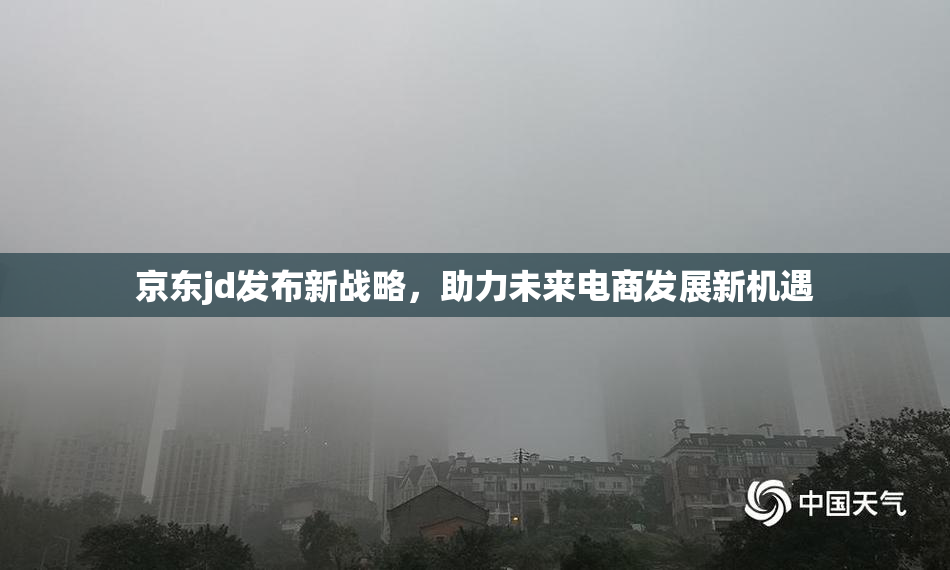 京东jd发布新战略，助力未来电商发展新机遇