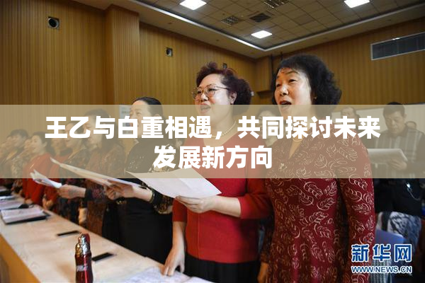 王乙与白重相遇，共同探讨未来发展新方向