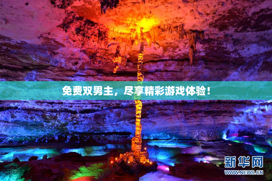 免费双男主，尽享精彩游戏体验！