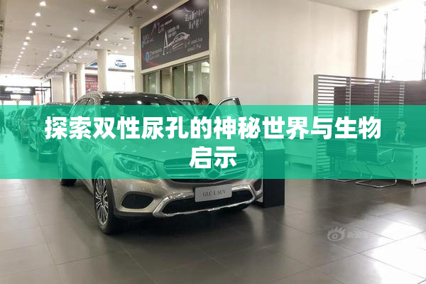 探索双性尿孔的神秘世界与生物启示