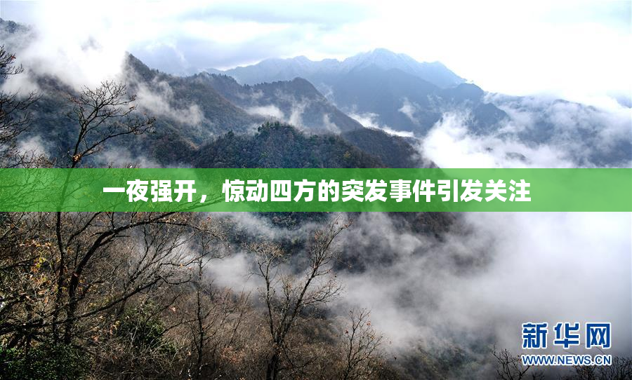 一夜强开，惊动四方的突发事件引发关注