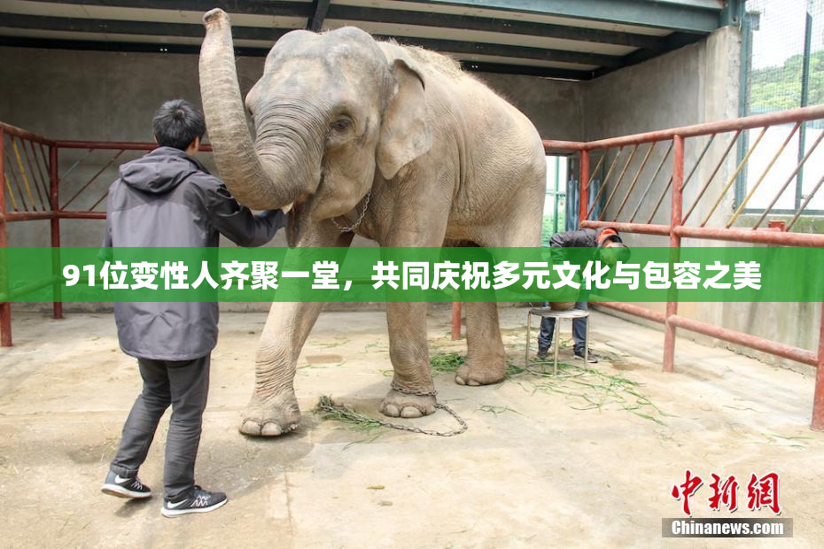 91位变性人齐聚一堂，共同庆祝多元文化与包容之美