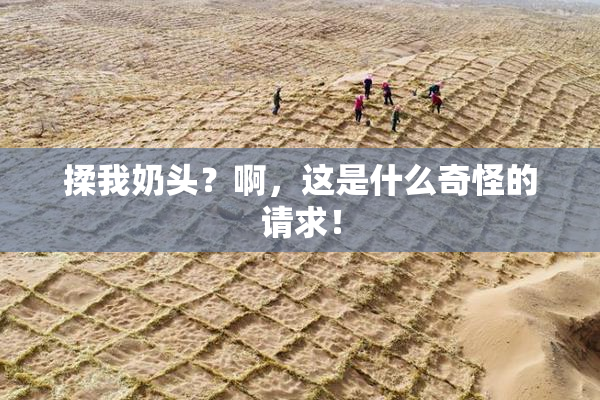 揉我奶头？啊，这是什么奇怪的请求！