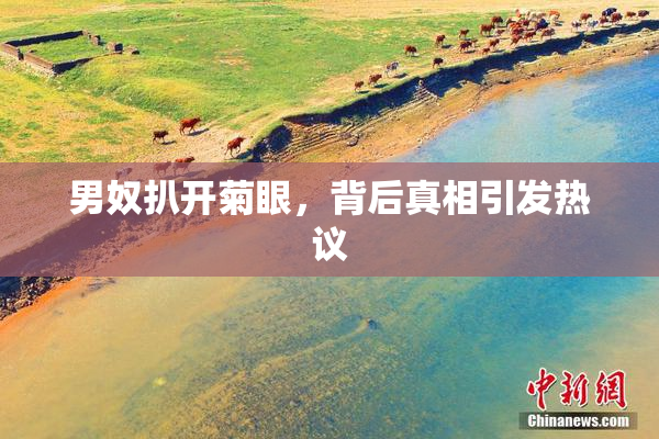 男奴扒开菊眼，背后真相引发热议