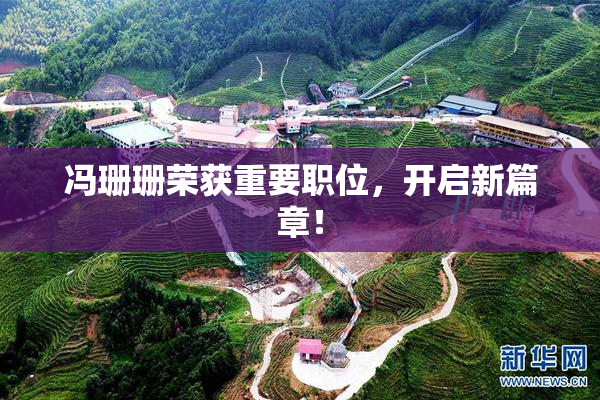 冯珊珊荣获重要职位，开启新篇章！