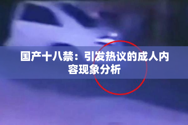 国产十八禁：引发热议的成人内容现象分析