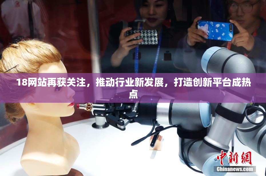 18网站再获关注，推动行业新发展，打造创新平台成热点