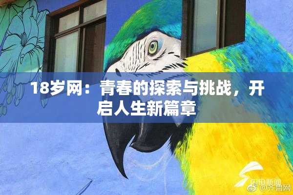18岁网：青春的探索与挑战，开启人生新篇章