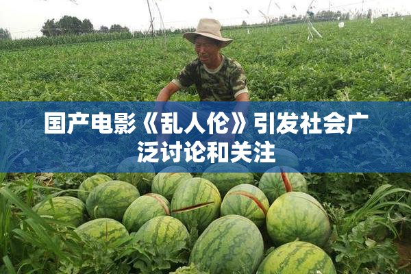 国产电影《乱人伦》引发社会广泛讨论和关注