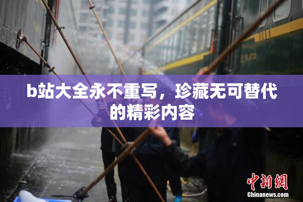 b站大全永不重写，珍藏无可替代的精彩内容