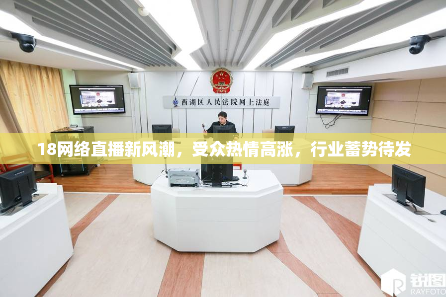 18网络直播新风潮，受众热情高涨，行业蓄势待发