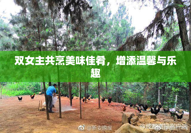 双女主共烹美味佳肴，增添温馨与乐趣