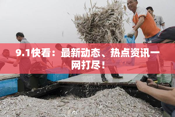 9.1快看：最新动态、热点资讯一网打尽！