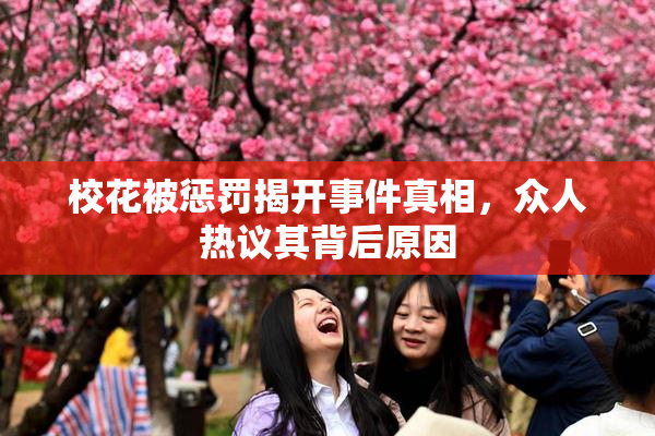 校花被惩罚揭开事件真相，众人热议其背后原因
