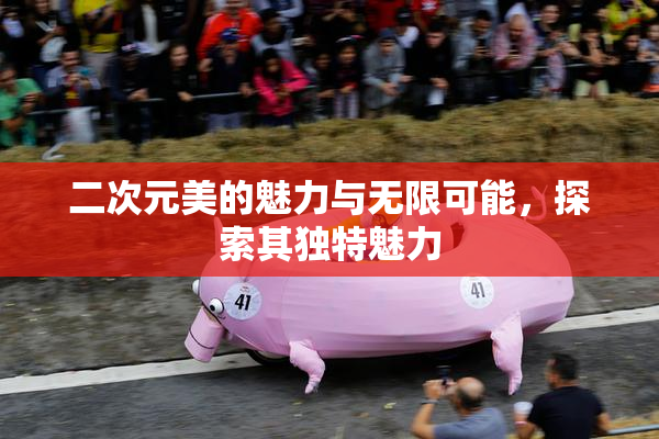 二次元美的魅力与无限可能，探索其独特魅力