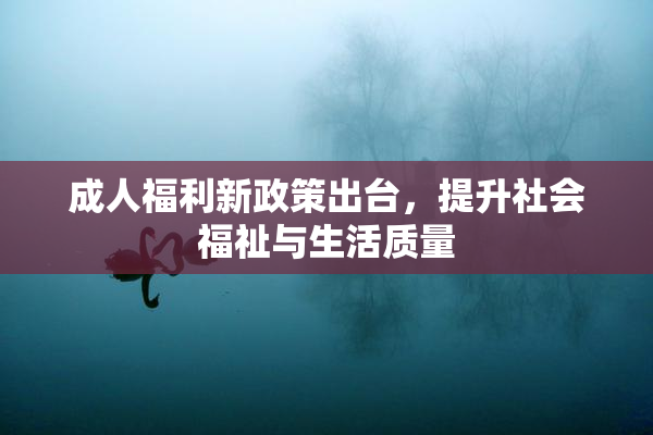 成人福利新政策出台，提升社会福祉与生活质量