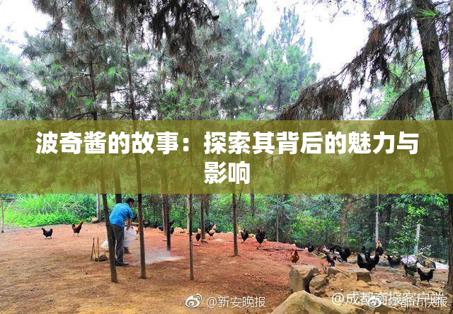 波奇酱的故事：探索其背后的魅力与影响