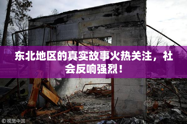 东北地区的真实故事火热关注，社会反响强烈！