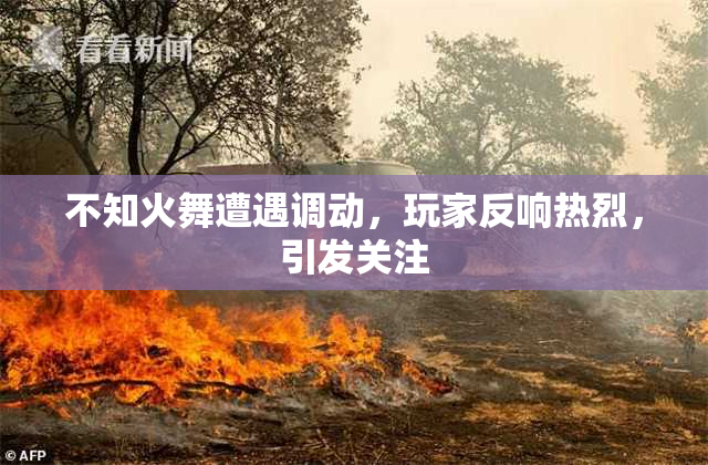 不知火舞遭遇调动，玩家反响热烈，引发关注