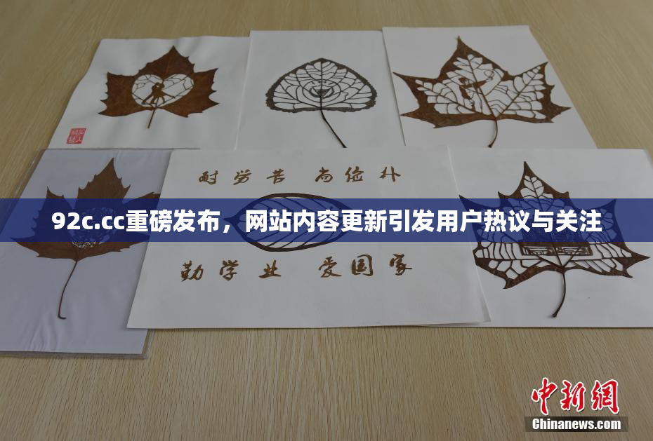 92c.cc重磅发布，网站内容更新引发用户热议与关注