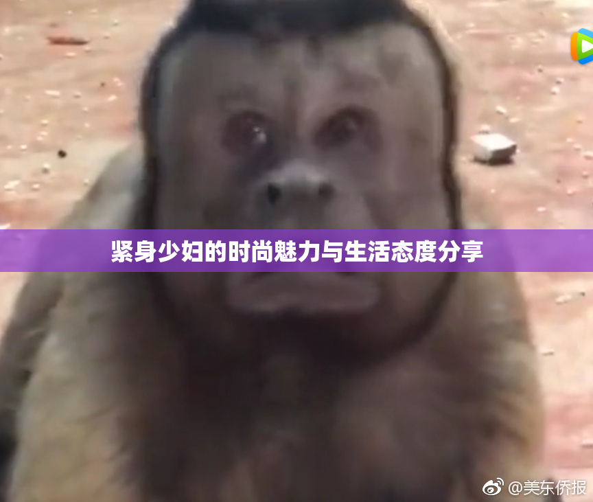 紧身少妇的时尚魅力与生活态度分享