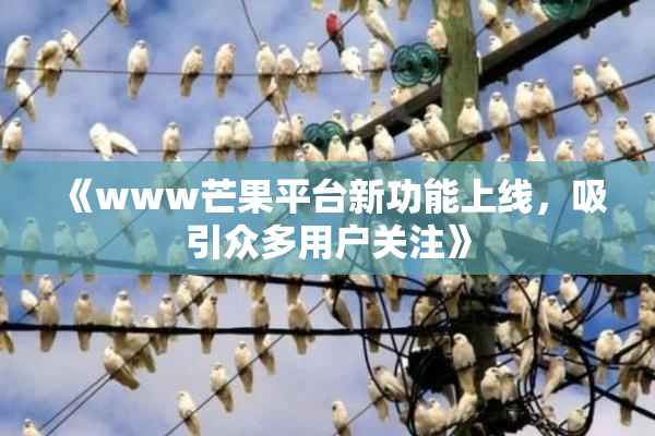 《www芒果平台新功能上线，吸引众多用户关注》