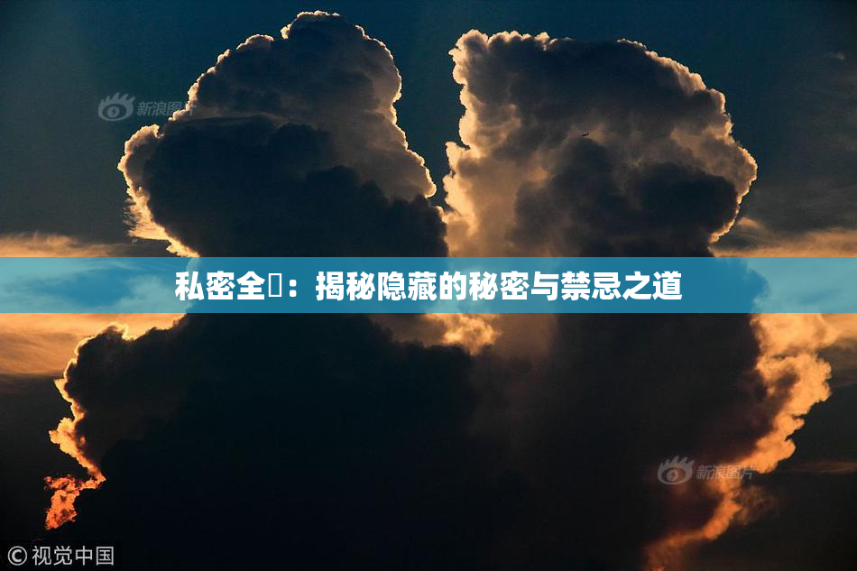 私密全婐：揭秘隐藏的秘密与禁忌之道