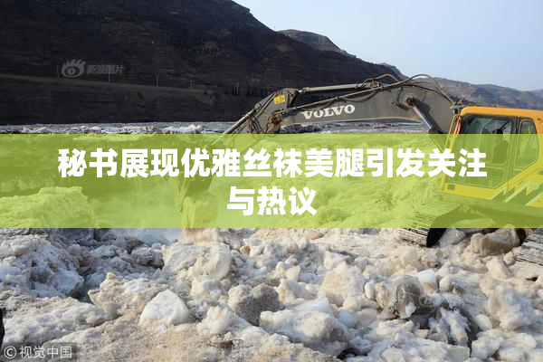 秘书展现优雅丝袜美腿引发关注与热议
