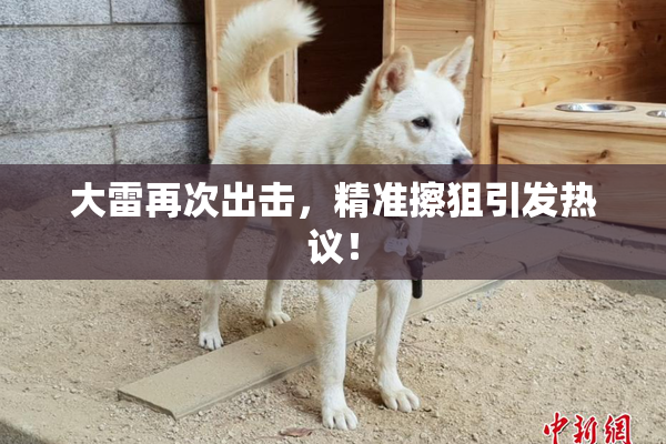 大雷再次出击，精准擦狙引发热议！