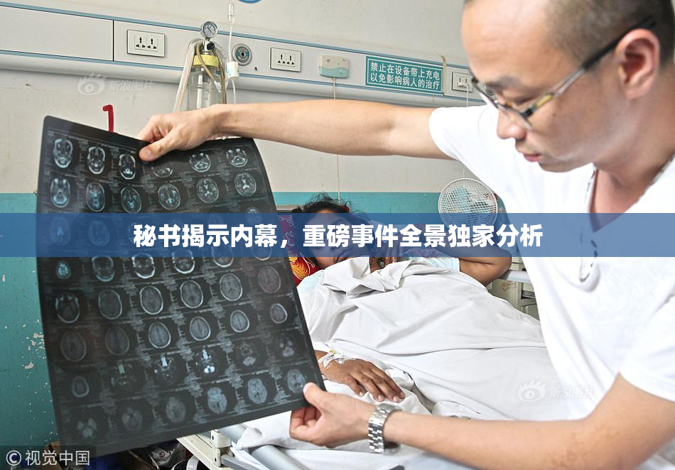 秘书揭示内幕，重磅事件全景独家分析