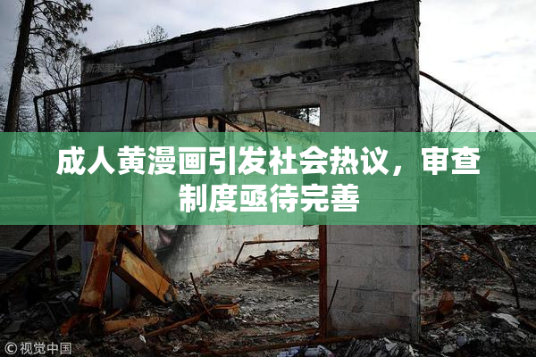 成人黄漫画引发社会热议，审查制度亟待完善