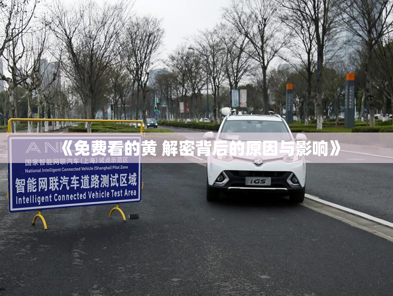 《免费看的黄 解密背后的原因与影响》