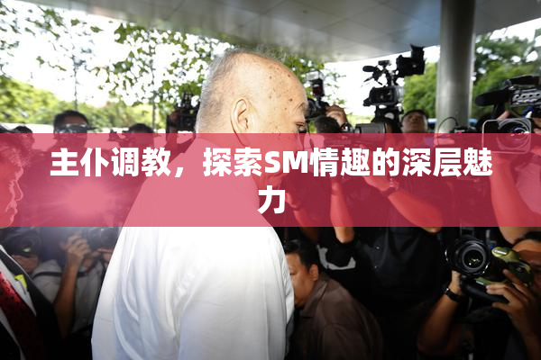 主仆调教，探索SM情趣的深层魅力