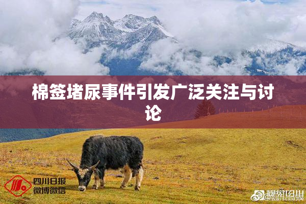 棉签堵尿事件引发广泛关注与讨论